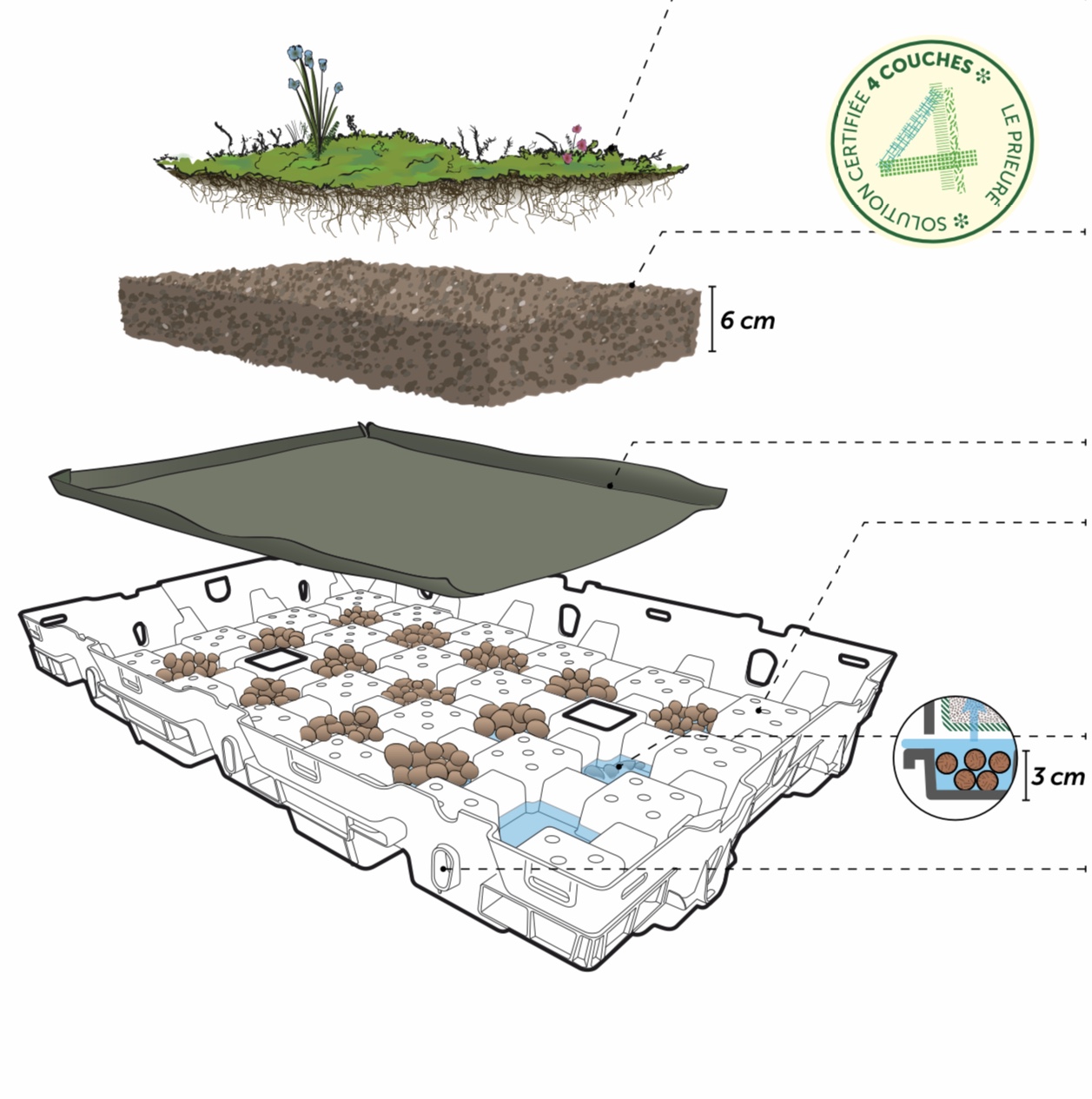 Formation en solution Hydropack pour toiture végétale en Belgique